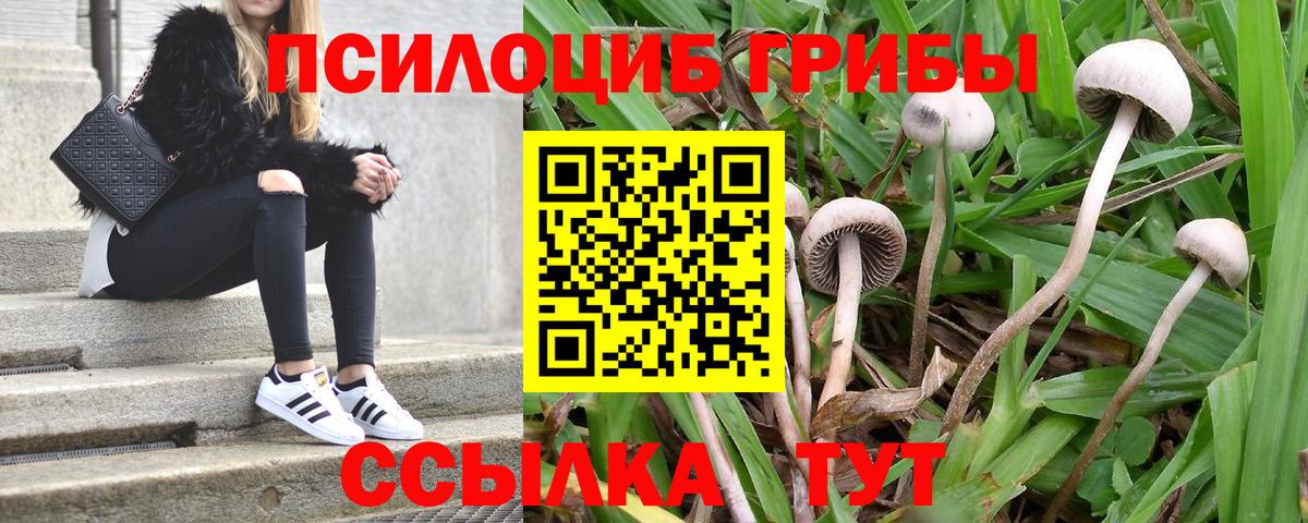 Псилоцибиновые грибы Magic Shrooms  Галлюциногенные грибы ЛСД  Вход с VPN  Лесозаводск 